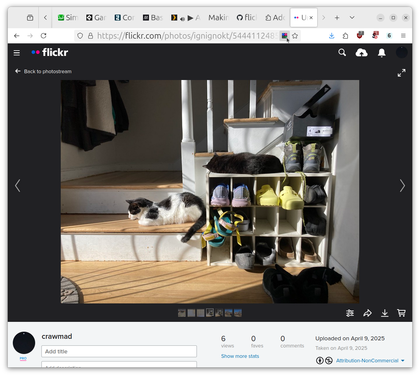 Flickr page with photo of cats and mouse pointer on extension button in url bar