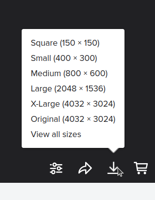 Flickr download menu listing various image sizes